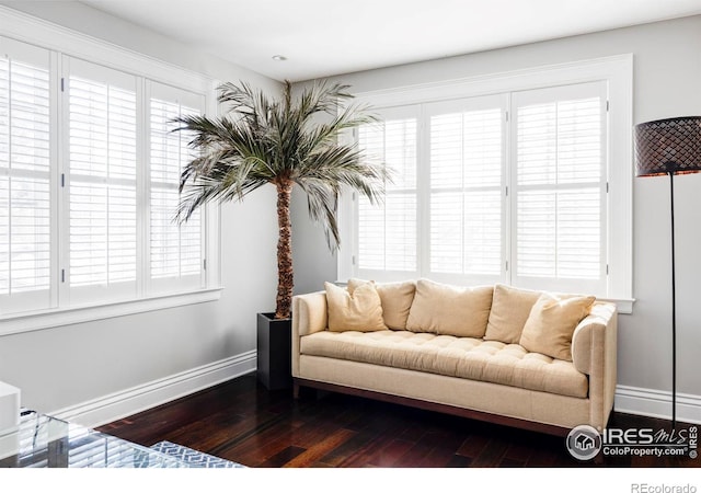 living room with dark hardwood / wood-style floors