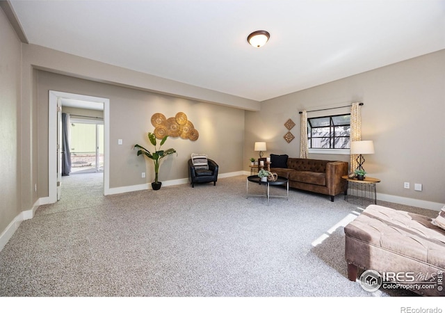 living room featuring carpet flooring