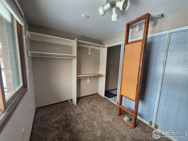 walk in closet with dark carpet