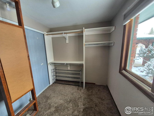 spacious closet featuring dark colored carpet