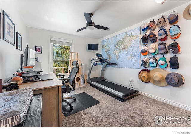 exercise room featuring ceiling fan and carpet floors