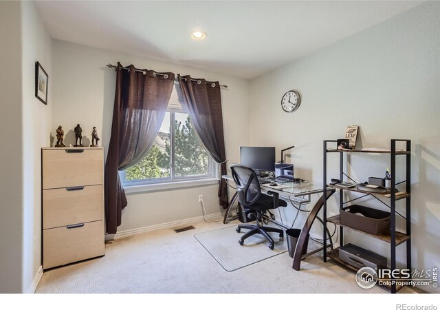 133 Eagle Canyon Cir, Lyons, CO 80540 - office area featuring light carpet
