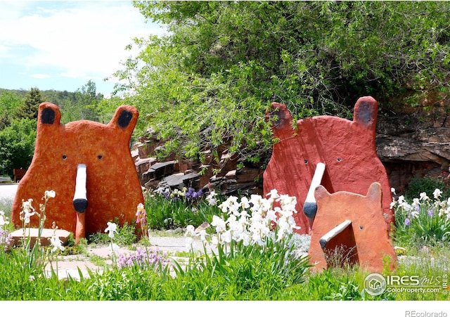 133 Eagle Canyon Cir, Lyons, CO 80540 - view of details