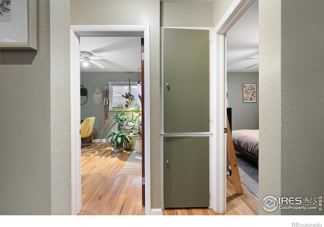 hallway featuring light hardwood / wood-style floors