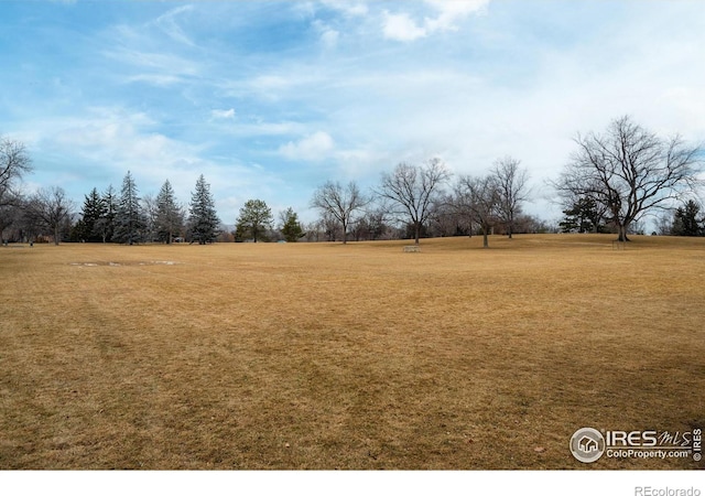 view of yard featuring a rural view