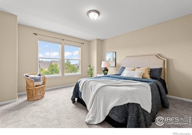 bedroom with carpet flooring