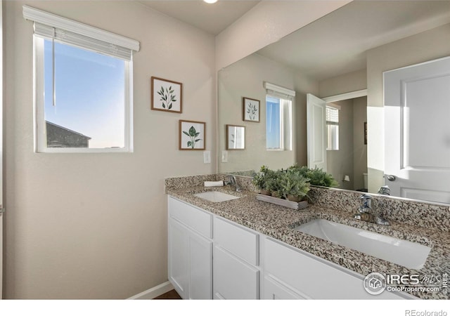 bathroom with vanity and a wealth of natural light