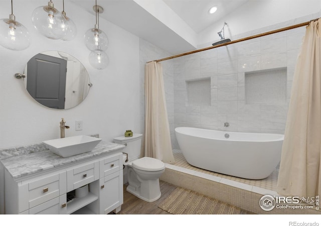 bathroom featuring wood-type flooring, toilet, curtained shower, and vanity