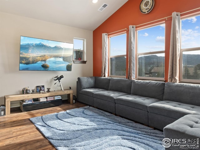 living room featuring vaulted ceiling and wood-type flooring