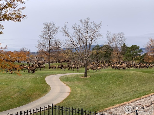 view of property's community featuring a lawn