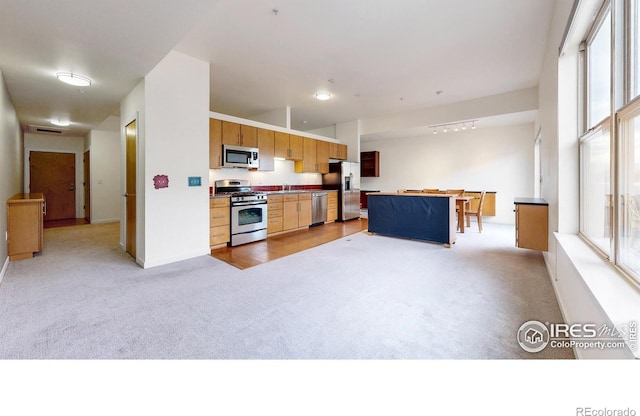 kitchen with light carpet and appliances with stainless steel finishes