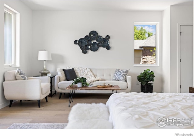 bedroom with light hardwood / wood-style flooring