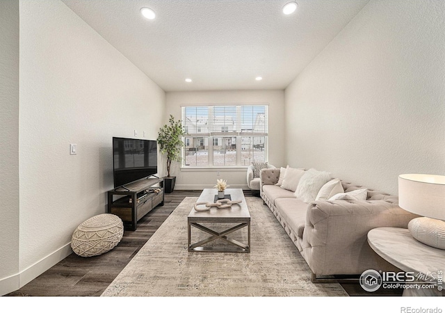 living room with wood-type flooring