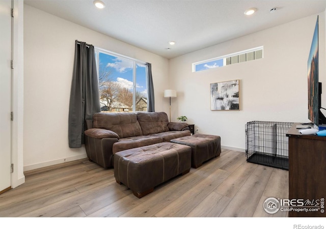 living room featuring light wood-type flooring