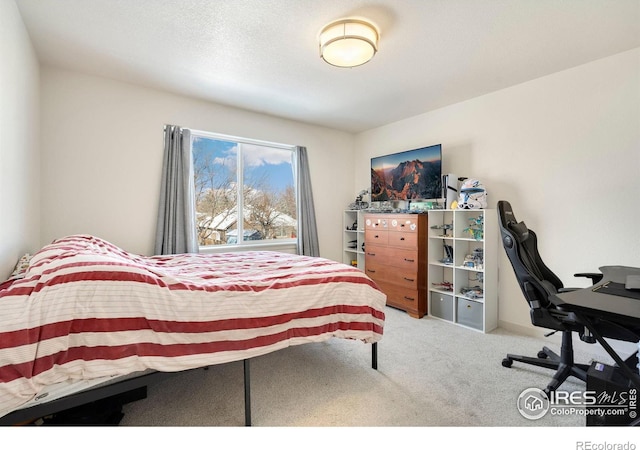 bedroom with carpet floors