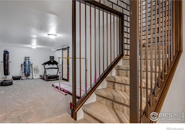 staircase featuring carpet