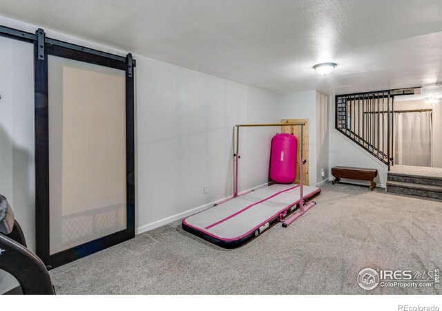 exercise room featuring carpet, baseboards, and a barn door