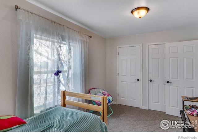 bedroom with carpet, a closet, and multiple windows