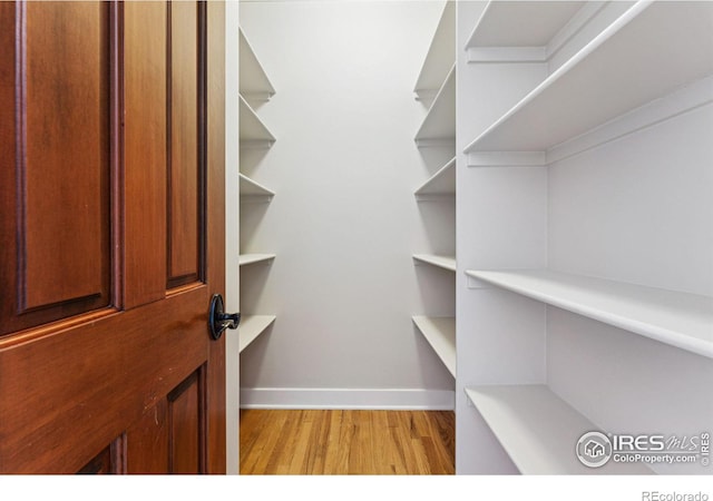 walk in closet with light wood-type flooring