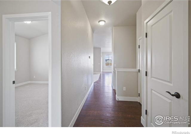 corridor with dark hardwood / wood-style flooring