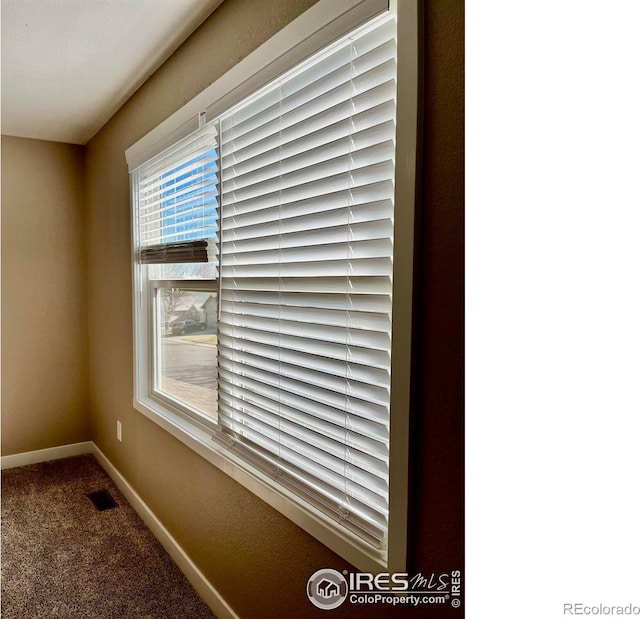 560 S 9th St, Berthoud, CO 80513 - detailed view of carpet and baseboards