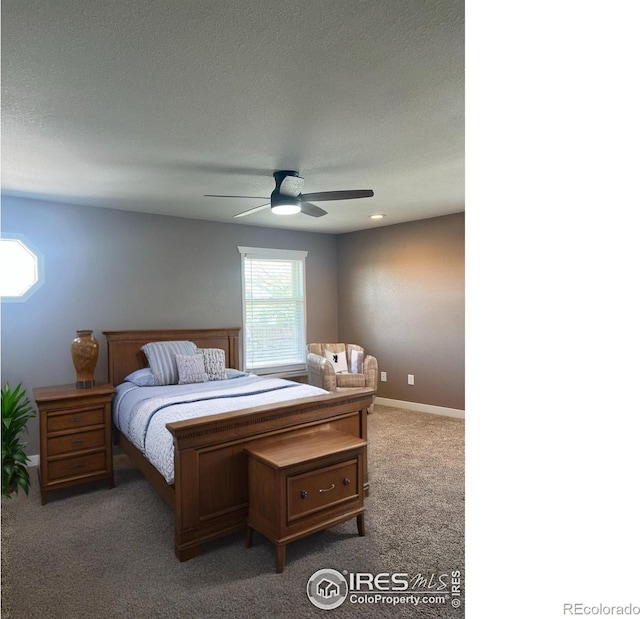 560 S 9th St, Berthoud, CO 80513 - bedroom featuring carpet floors, ceiling fan, and baseboards