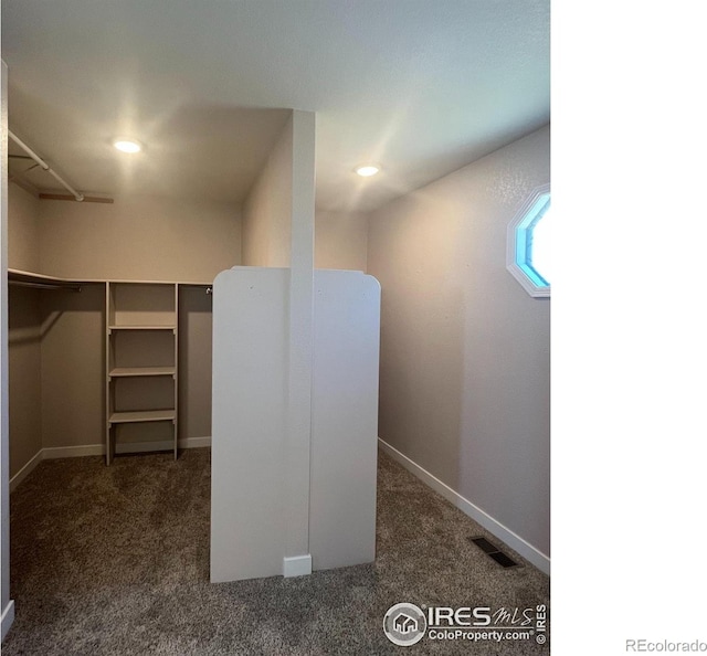560 S 9th St, Berthoud, CO 80513 - spacious closet with carpet floors