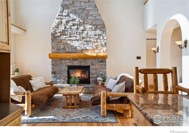 living room featuring a fireplace and light hardwood / wood-style flooring