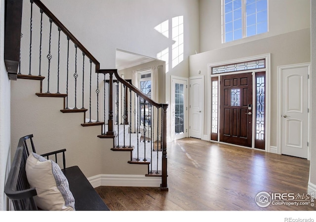 entryway with a towering ceiling and wood-type flooring