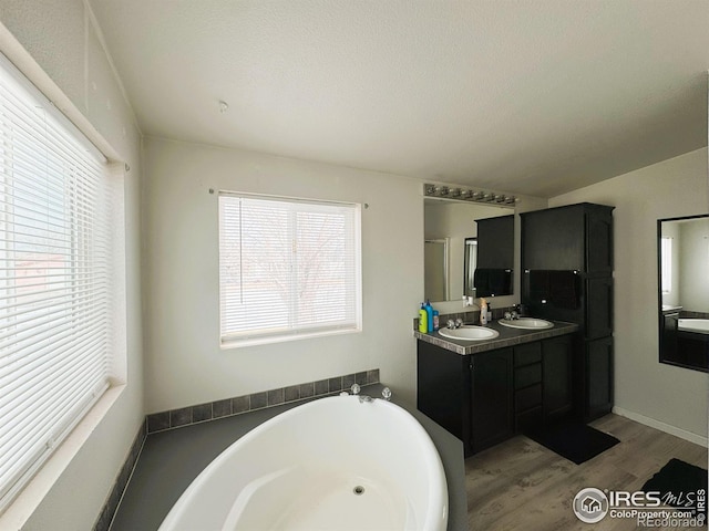 bathroom with vanity, hardwood / wood-style floors, and a bathtub