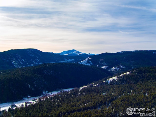 14 Caribou Rdg, Nederland, CO 80466 - photo 15
