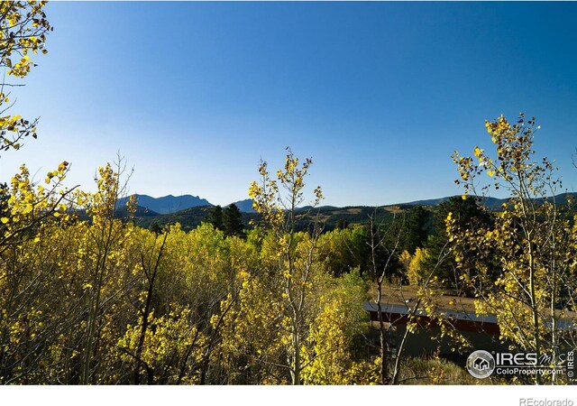 14 Caribou Rdg, Nederland, CO 80466 - photo 16