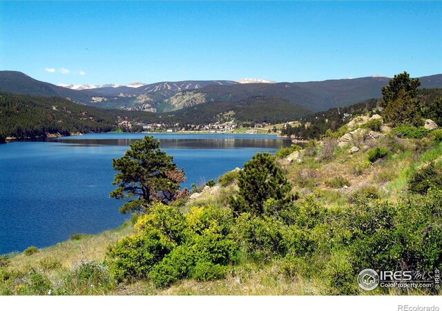 14 Caribou Rdg, Nederland, CO 80466 - photo 17