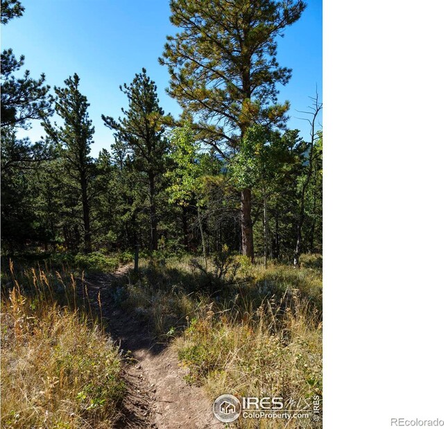 14 Caribou Rdg, Nederland, CO 80466 - photo 19