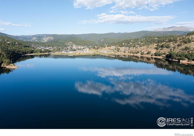 14 Caribou Rdg, Nederland, CO 80466 - photo 20