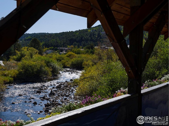 14 Caribou Rdg, Nederland, CO 80466 - photo 21