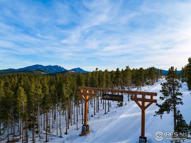 Listing photo 2 for 9 Juneau Cir, Nederland CO 80466