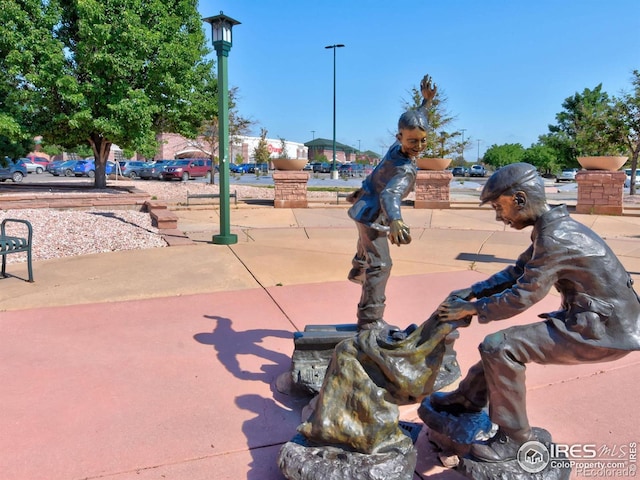 110 Cayauga Way, Superior, CO 80027