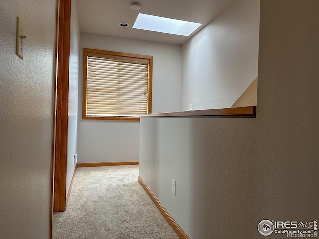 hall featuring light colored carpet and a skylight