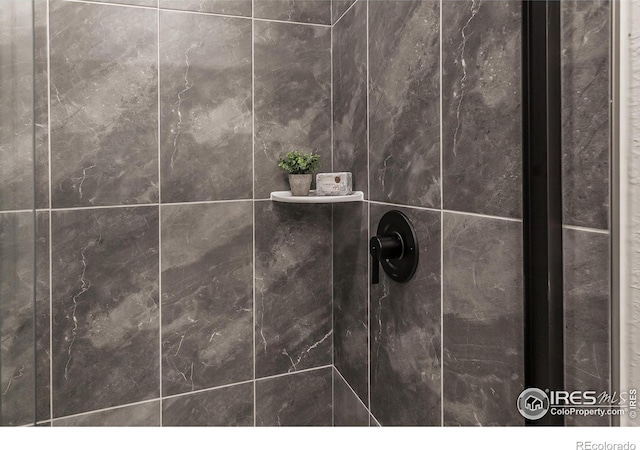 692 Galloway Dr, Johnstown, CO 80534 - bathroom view of tiled shower