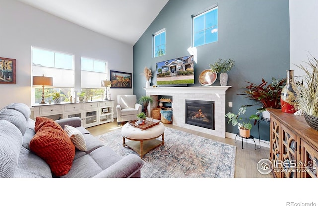 living room with light hardwood / wood-style flooring and high vaulted ceiling