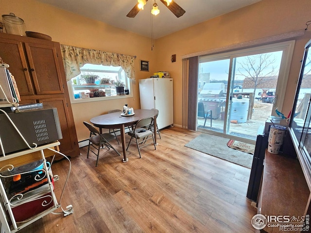 dining space with light wood-type flooring, a baseboard radiator, and a ceiling fan