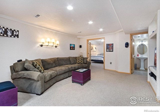 living room featuring sink and carpet floors