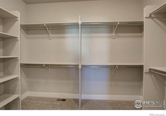 6228 Vernazza Way Unit 3, Windsor, CO 80550 - photo 9