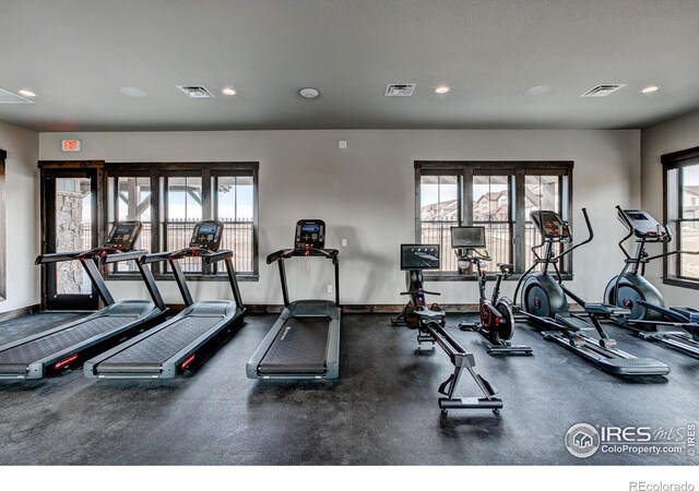6228 Vernazza Way Unit 3, Windsor, CO 80550 - photo 16