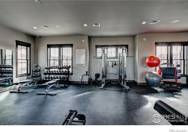 6228 Vernazza Way Unit 3, Windsor, CO 80550 - photo 17