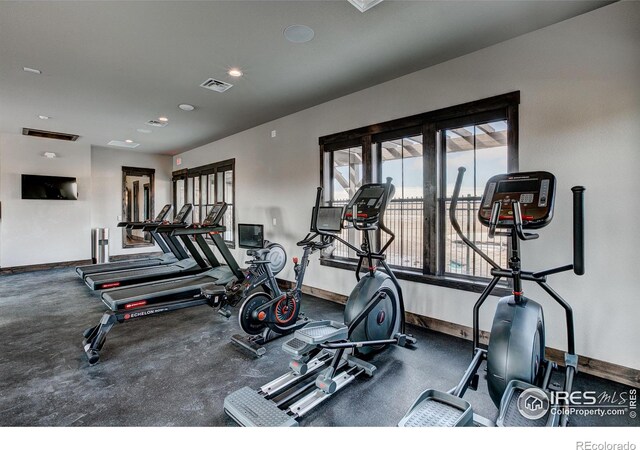 6228 Vernazza Way Unit 3, Windsor, CO 80550 - photo 18