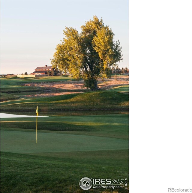 6228 Vernazza Way Unit 3, Windsor, CO 80550 - photo 23