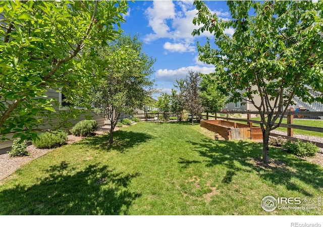 887 Sundance Ln, Erie, CO 80516 - view of yard