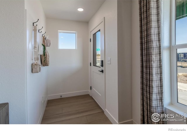 entryway with wood-type flooring